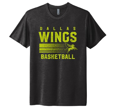 Dallas Wings Dashing Pegasus T-Shirt